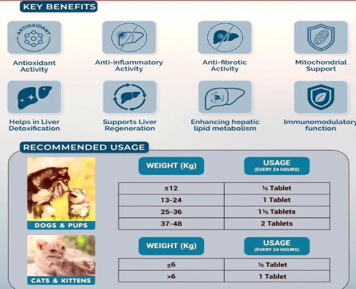 Buy Natural Remedies HepNSure Liver Health Supplement for Pets | PetMedicine.co