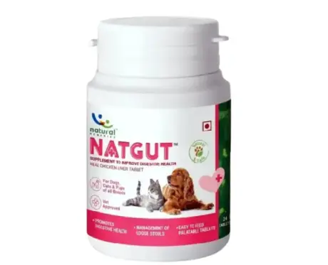 Natural Remedies Natgut Digestive Supplement for Dogs & Cats – PetMedicine.co