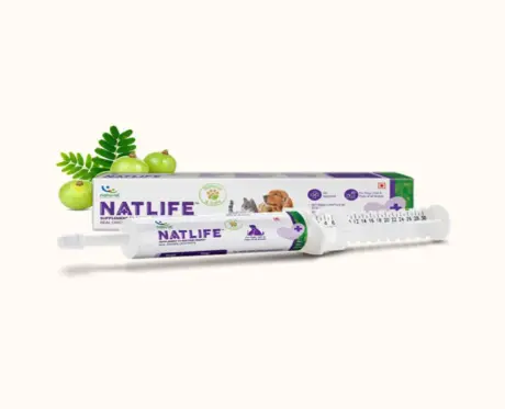 Natural Remedies Natlife Herbal Tonic for Dull Pets – PetMedicine.co