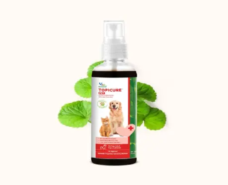 Shop Natural Remedies Topicure Herbal Wound Spray for Pets | PetMedicine.co