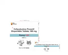 Neo Kumfurt Pawxy 100 MG Tablet for Dogs & Cats - PetMedicine.co