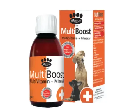 Opus Pet Multiboost Syrup for Dogs 150ml supplement at PetMedicine.co