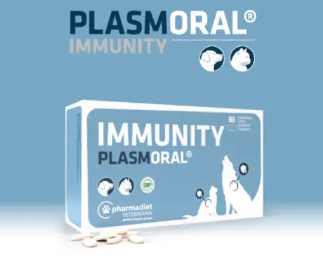 Immune Support Supplement for Dogs and Cats – Pharmadiet Immunity Plasmoral – PetMedicine.co