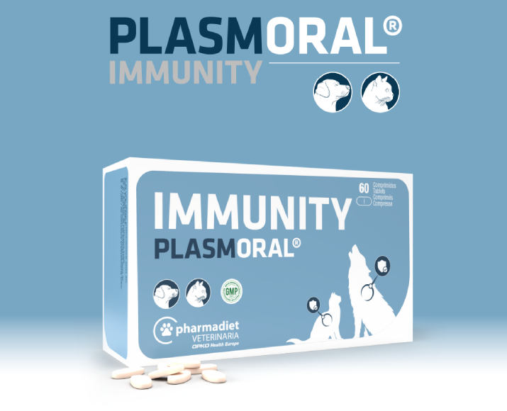 Immune Support Supplement for Dogs and Cats – Pharmadiet Immunity Plasmoral – PetMedicine.co