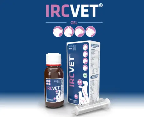 Buy Pharmadiet Ircvet Gel 50ml for Dogs & Cats Online | PetMedicine.co