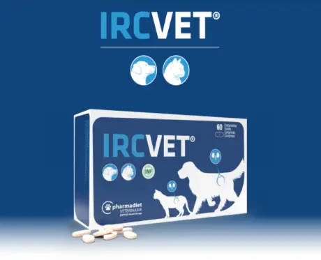 Buy Pharmadiet Ircvet Tablets 60 Tabs for Dogs & Cats – PetMedicine.co