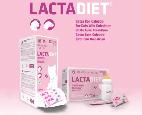 Buy Pharmadiet Lactadiet Cats Colostrum Milk Powder for Kittens – PetMedicine.co