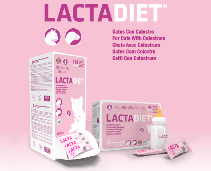 Buy Pharmadiet Lactadiet Cats Colostrum Milk Powder for Kittens – PetMedicine.co