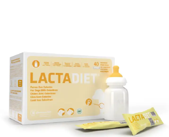 Pharmadiet Lactadiet Dogs with Colostrum Milk Replacer 40 Sachets - PetMedicine.co