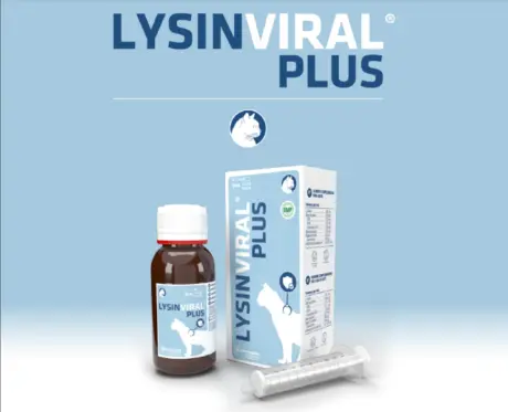 Buy Pharmadiet Lysinviral immune support for cats 50ml from PetMedicine.co