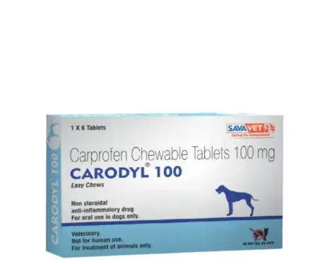 Savavet Carodyl 100 MG Tablet for Dogs Pain Relief – PetMedicine.co