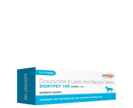 Savavet Doxypet tablets for dogs and cats - PetMedicine.co
