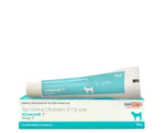 Savavet Ichmune T Ointment 10gm for Pets – PetMedicine.co