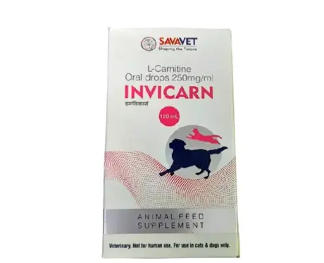 Savavet Invicarn Oral Drops for Dogs and Cats – PetMedicine.co