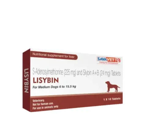 Savavet Lisybin Medium Liver Support Tablets for Dogs and Cats - PetMedicine.co
