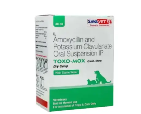 Savavet Toxo Mox Dry Syrup 30ml for Dogs & Cats – PetMedicine.co