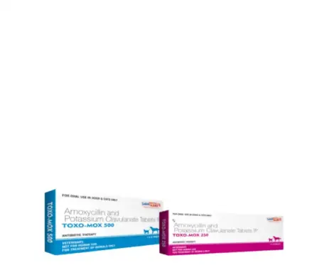 Savavet Toxo Mox Tablets for Dogs & Cats – PetMedicine.co