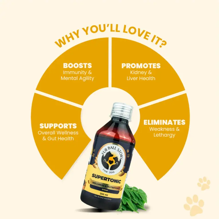 Supertonic Syrup 200ml immunity booster for pets PetMedicine.co