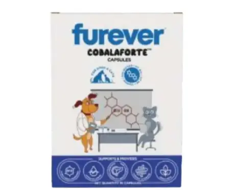 Furever Cobalaforte Capsules for Dogs and Cats 60 Tablets – PetMedicine.co