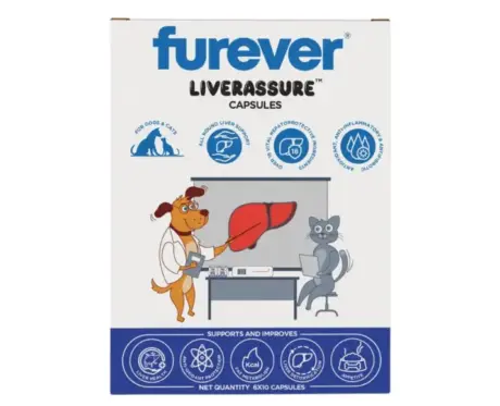 Furever Liverassure Capsules for Dogs and Cats 60 Tablets PetMedicine.co