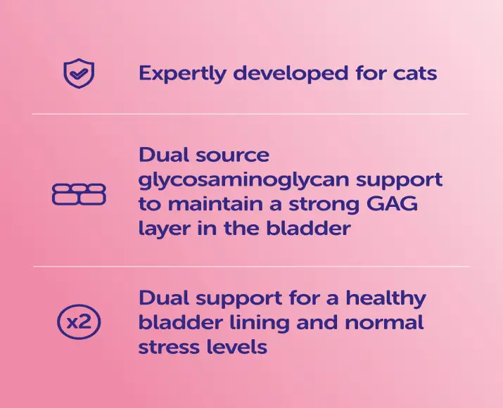 Protexin Cystophan Capsules for Cat Bladder Health – PetMedicine.co