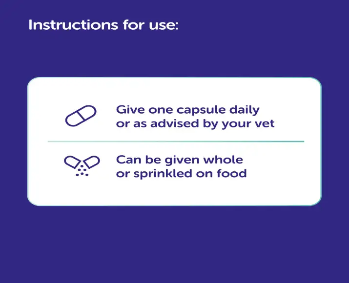 Protexin Cystopro capsules for dog and cat urinary wellness PetMedicine.co