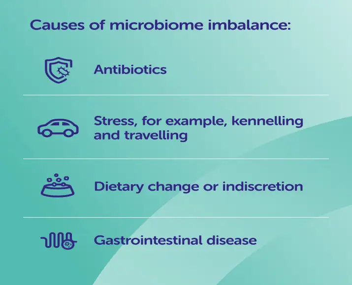 Protexin Cystopro capsules for dog and cat urinary wellness PetMedicine.co