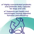 Protexin Cystopro bladder health supplement for pets 30 capsules PetMedicine.co