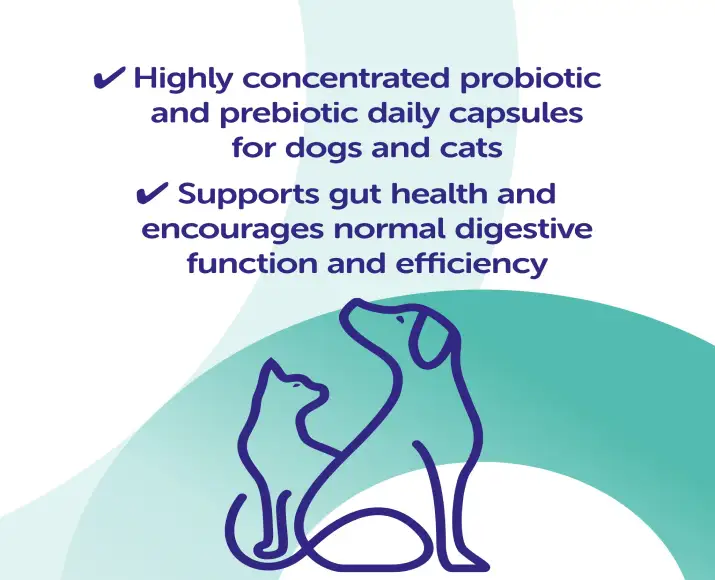 Protexin Cystopro bladder health supplement for pets 30 capsules PetMedicine.co