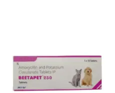 Skyec Beetapet 250 MG Tablet for Dogs and Cats – PetMedicine.co