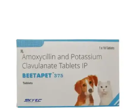 Skyec Beetapet 375 MG Tablet for Dogs and Cats PetMedicine.co
