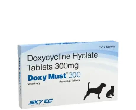 Skyec Doxy Must 300 MG Tablets for Dogs and Cats – PetMedicine.co