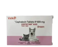 Veko Cepstar 600 MG Tablet for Dogs and Cats - PetMedicine.co
