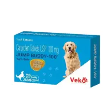 Veko Jump Buddy 100 MG Tablet for Dogs Pain Relief - PetMedicine.co