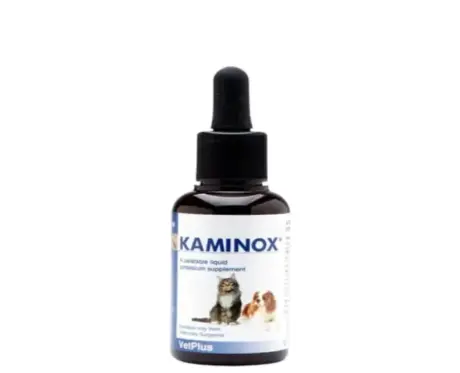 Vetplus Kaminox Supplement for Dogs and Cats 60ml – PetMedicine.co