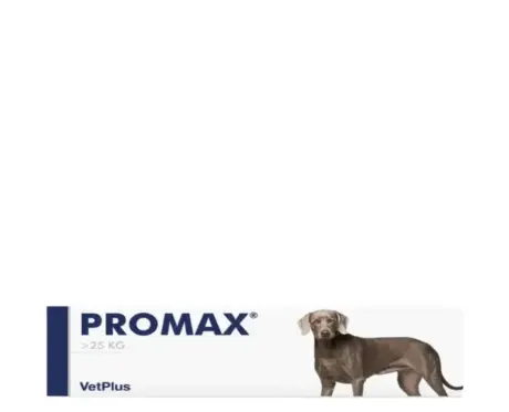 Vetplus Promax for Dogs Digestive Health Supplement – PetMedicine.co