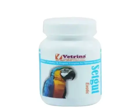 Vetrina Setgut Exotic Powder for Birds 50gm – PetMedicine.co
