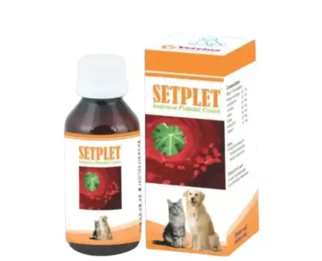 Vetrina Setplet Syrup for Dogs and Cats 100ML – PetMedicine.co