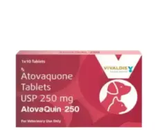 Vivaldis Atovaquin Atovaquone 250 MG for dogs and cats 10 tabs – PetMedicine.co