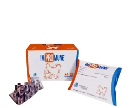 Vivaldis Bioiberica Impromune Tablets for Dogs and Cats – PetMedicine.co