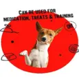Vivaldis Easy Pill Treat for Dogs Medication – PetMedicine.co