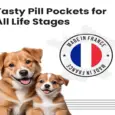 Vivaldis Easy Pill Treat for Dogs Medication – PetMedicine.co