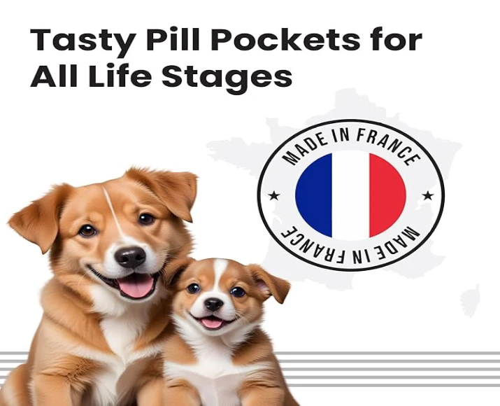 Vivaldis Easy Pill Treat for Dogs Medication – PetMedicine.co