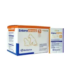 Vivaldis Entero Chronic Powder for Dogs and Cats – PetMedicine.co