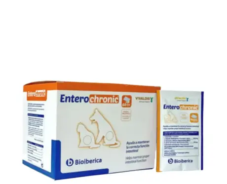Vivaldis Entero Chronic Powder for Dogs and Cats – PetMedicine.co