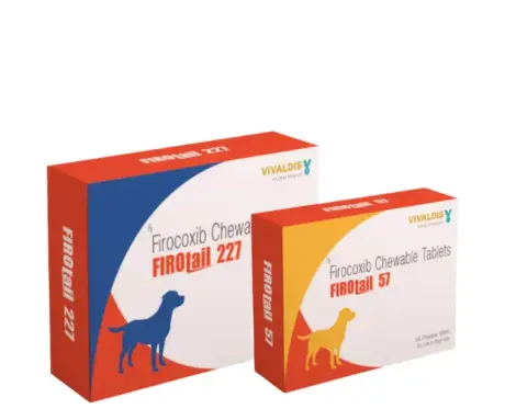 Vivaldis Firotail Firocoxib Tablets for Dogs Pain Relief | PetMedicine.co