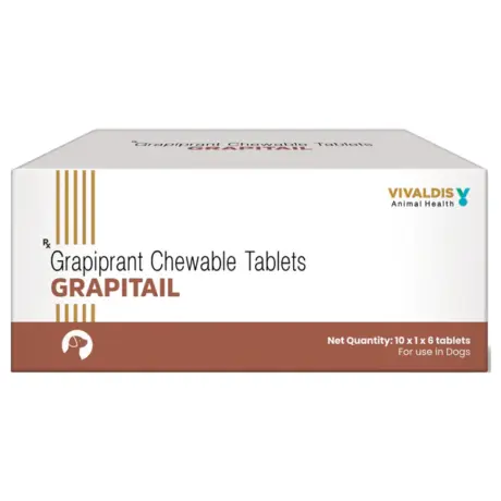 Vivaldis Grapitail 100 MG Online for Dog Pain Relief – PetMedicine.co