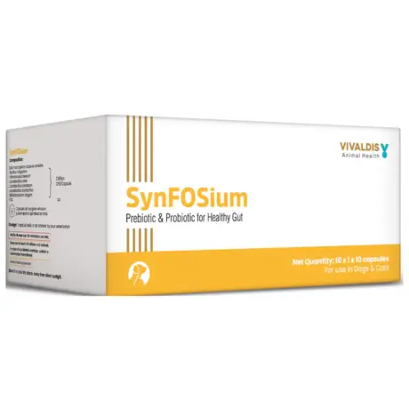 Buy Vivaldis Synfosium Digestive Supplement for Pets – PetMedicine.co