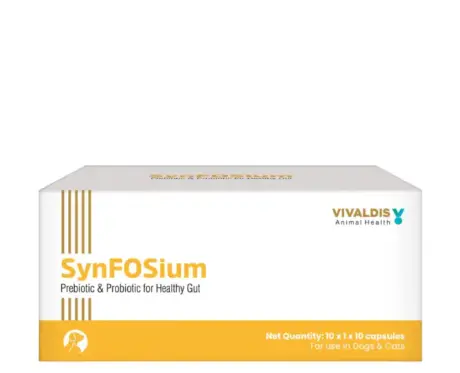 Vivaldis Synfosium Pre Probiotic Capsule for Dogs & Cats – PetMedicine.co