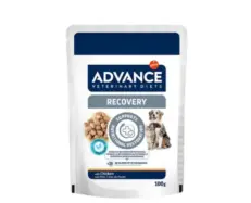 Affinity Advance Recovery wet food for dogs and cats 100gm PetMedicine.co